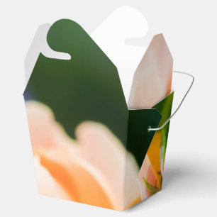 entfaltender Wunsch Gefallen Kiste Geschenkschachtel