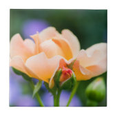 entfaltete Begierde Fliese (Vorderseite)