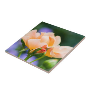 entfaltete Begierde Fliese