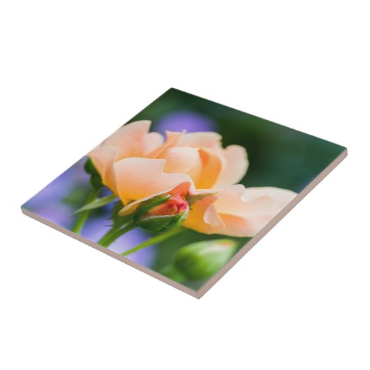 entfaltete Begierde Fliese (Seite)