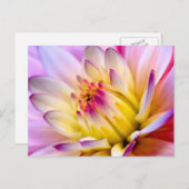 Entfaltung der Blume Postkarte (Vorne/Hinten)