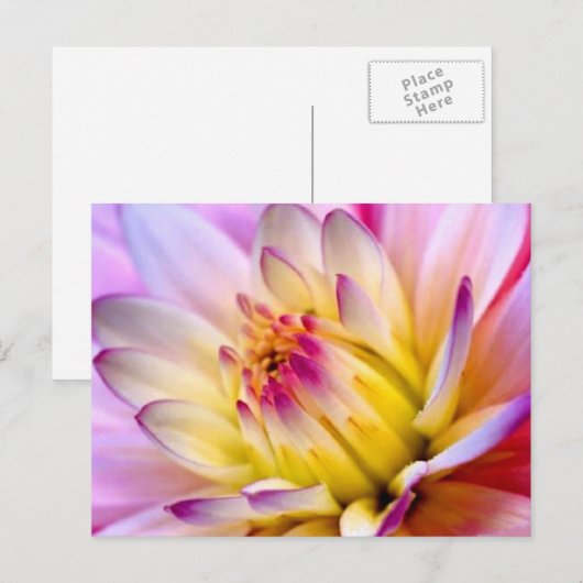 Entfaltung der Blume Postkarte (Vorne/Hinten)