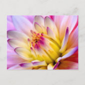 Entfaltung der Blume Postkarte (Vorderseite)