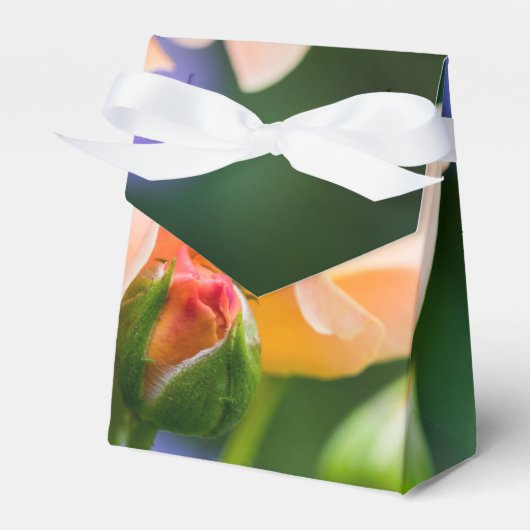 Entfaltung der Wunschbox Geschenkschachtel (Vorderseite)