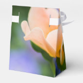 Entfaltung der Wunschbox Geschenkschachtel (Rückseite)