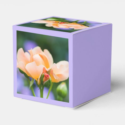 Entfaltung der Wunschbox Geschenkschachtel (Rückseite)