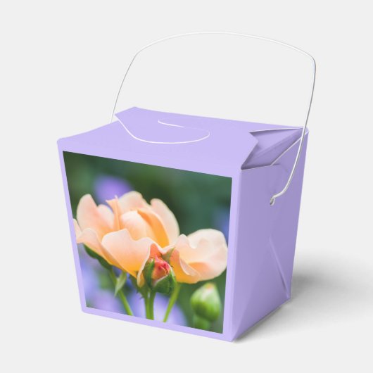 Entfaltung der Wunschbox Geschenkschachtel (Vorderseite)