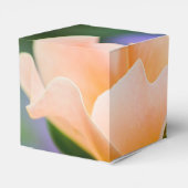 Entfaltung der Wunschbox Geschenkschachtel (Rückseite)