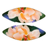 Entfaltung des Wunsches Football (Paneele)