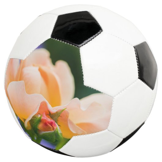 Entfaltung des Wunsches Fußball (Dreiviertel)