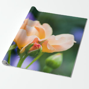 Entfaltung des Wunsches Geschenkpapier