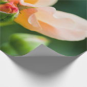 Entfaltung des Wunsches Geschenkpapier (Ecke)