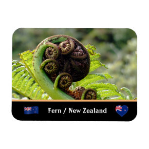 Entfaltung Fern, Neuseeland, Wildnis Magnet