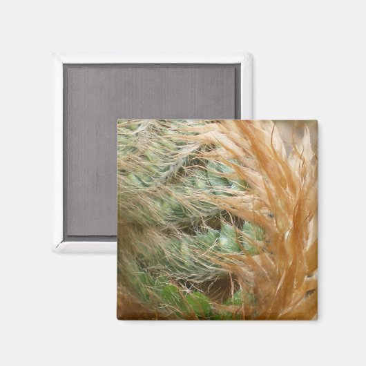 Entfaltung Magnet (Vorderseite/Rückseite)