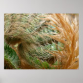 Entfaltung Poster (Vorne)