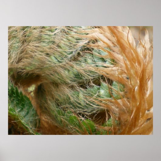 Entfaltung Poster (Vorne)