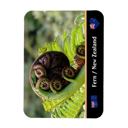 Entfaltung von Fern, Neuseeland, Wildnis Magnet (Vertikal)