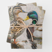 Entfärbung von Enten und Mallard Geschenkpapier Set (Beispiel)