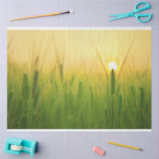 Entfärbungspapier Seidenpapier (Basteln)