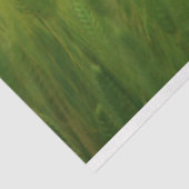 Entfärbungspapier Seidenpapier (Ausschnitt)