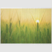 Entfärbungspapier Seidenpapier (Vorderseite)