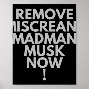 Entferne jetzt den Irrglauben von Madman Musk! Poster