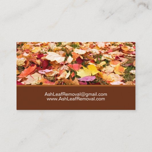 Entfernen der Leaf-Reinigung Visitenkarte (Rückseite)