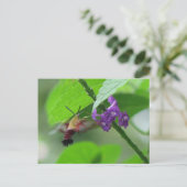 Entfernen der Postkarte (Stehend Vorderseite)