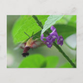 Entfernen der Postkarte (Vorderseite)