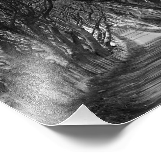 Entfernung der dunklen Hecken Fotodruck (Ecke)