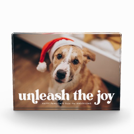 Entfesseln Sie den Joy Dog Fotoblock (Vorderseite)