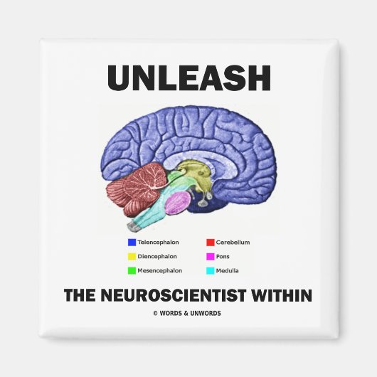 Entfesseln Sie den Neurowissenschaftler im Inneren Magnet (Vorne)