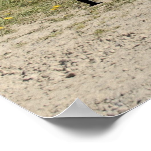 Entfesseltes Super Pro Drag Car Poster (Ecke)