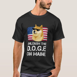Entfessle den DOGE gegen die Maine-Korruption Amer T-Shirt