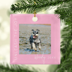 Entfessle die Freude   Haustier-Foto-Weihnachtsbau Ornament Aus Metall