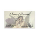 Entführung von Psyche durch Bouguereau