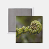 Entfurchen der Frond Magnet (Vorderseite/Rückseite)