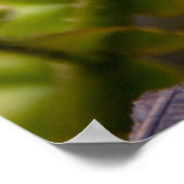 Entfurchen der Frond Poster (Ecke)