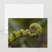 Entfurchen der Frond Postkarte (Vorne/Hinten)