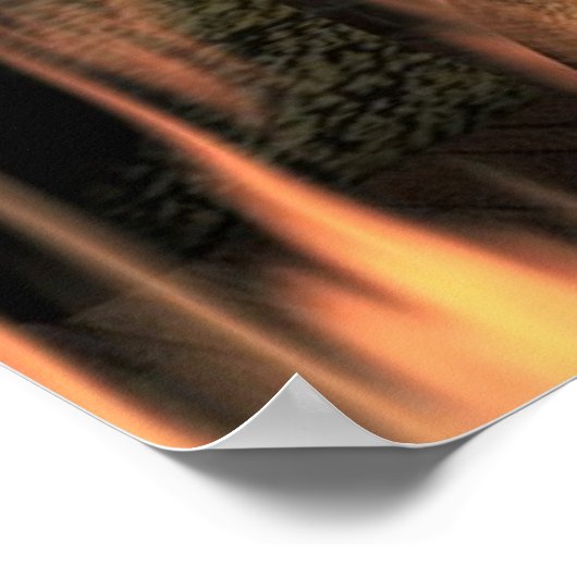 Enthält Sonderausgabe Poster (Ecke)