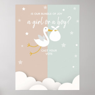 Enthüllte Abstimmung über das Geschlecht der Joy S Poster