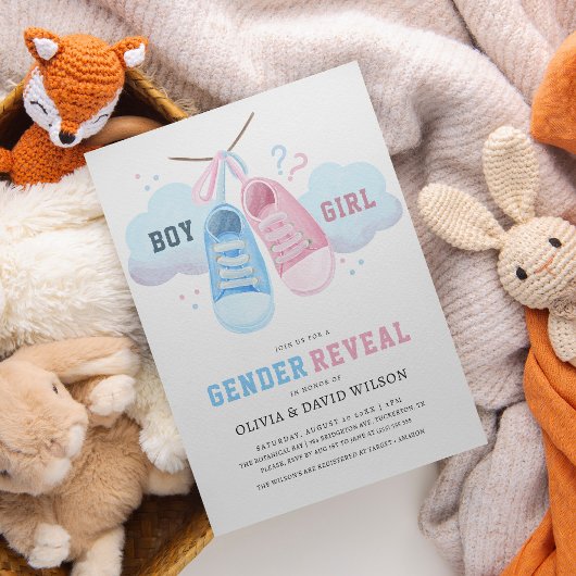 Enthüllung des Geschlechts bei blauem oder rosafar Einladung