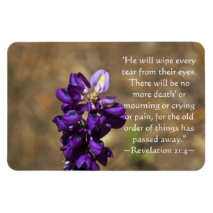 Enthüllungs-21:4 Magnet