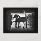 Entkleidung Postkarte (Vorderseite)