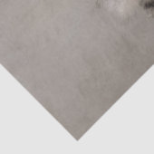 Entkoppeln von Fluffy-Chicks auf einer Zweignieder Seidenpapier (Ausschnitt)