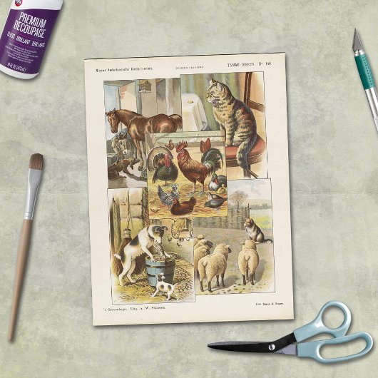 Entkopplung der Tiersammlung von gezähmten Nutztie Seidenpapier