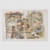 Entkopplung der Tiersammlung von gezähmten Nutztie Seidenpapier (Vorderseite)