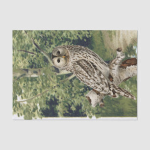 Entkopplung des Waldes von Vintagen Vogelwäldern Seidenpapier