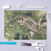 Entkopplung des Waldes von Vintagen Vogelwäldern Seidenpapier (Handwerk)