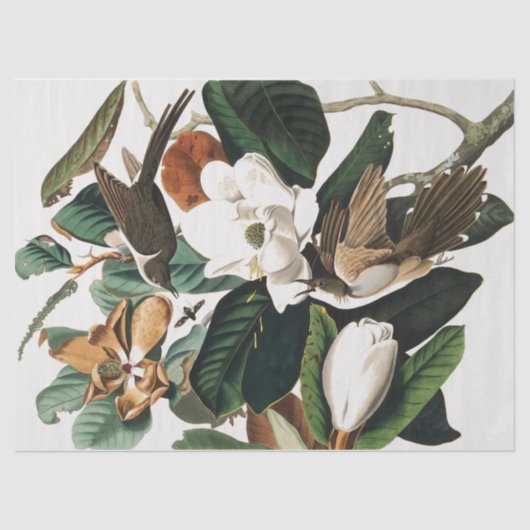 Entkopplung Vintager Vögel und Blume Seidenpapier (Vorderseite)